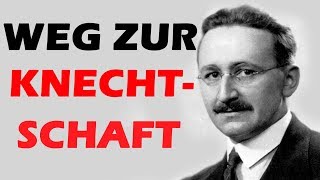 Der Weg zur Knechtschaft – Vorsitzender der HayekGesellschaft Habermann im Interview [upl. by Lewert]