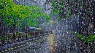 FORTE PLUIE la nuit pour un Sommeil très Rapide  Bruit de la Pluie et Orages sur route tranquille [upl. by Yahsal384]