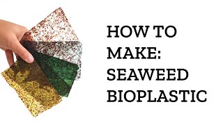 How to make Algae Seaweed Bioplastic  BEST tips and tricks [upl. by Nahtaj721]