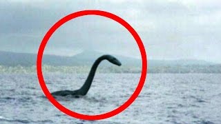 Mysterious Loch Ness Monster [upl. by De Witt]