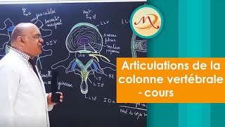 Articulations de la Colonne Vertébrale Cours [upl. by Swagerty]