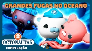 Octonautas  🌊 Grandes Fugas no Oceano 🛟  Compilação  Episódios inteiros [upl. by Caressa]