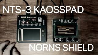 Korg NTS3 Kaosspad  Monome Norns Shield  Ambient [upl. by Kursh]