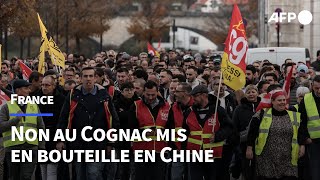 Cognac des centaines de salariés manifestent pour défendre la filière  AFP [upl. by Ainet]