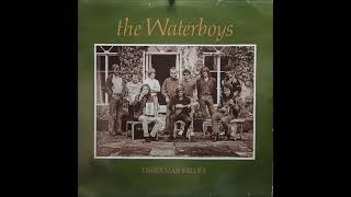 THE WATERBOYS  SWEET THING A5 1988 [upl. by Samalla]