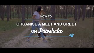 How to organise a meet and greet on Pawshake [upl. by Sedlik52]