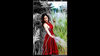 Fastest Color Splash Effect with GIMP  ফটো এডিটিং শিখুন গিম্প এর সাথে photoeditingtutorial [upl. by Attiuqram560]