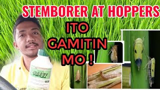 Insecticide para sa Stemborer Mango Hoppers Brown planthopper Green leafhopper  Vessel Ultra [upl. by Reyna470]