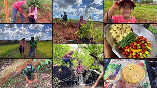 VIVER ASSIM NÃO TEM PREÇOAPROVEITANDO A CHUVA E PLANTAMOS AS ÁRVORES NATIVASRIQUEZAS AQUI NO SÍTIO [upl. by Ylil]