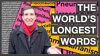 The Worlds Longest Words English amp Beyond [upl. by Yewed]