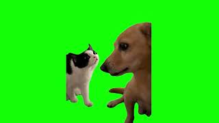 Green Screen Cat and Dog Meme [upl. by Esiole893]