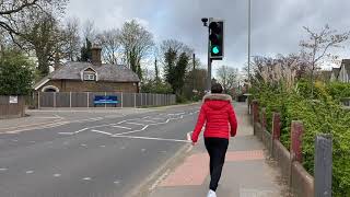 Pedestrian Crossings explained Driving theory test help [upl. by Dulcy303]