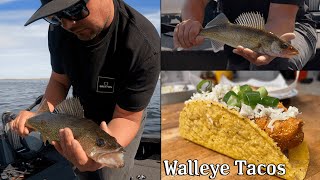 Walleye Tacos  BOTTOM BOUNCER  CATCH amp COOK [upl. by Niliak]