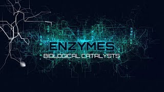 GCSE Chemistry 19 Enzymes Biological Catalysts [upl. by Toll952]