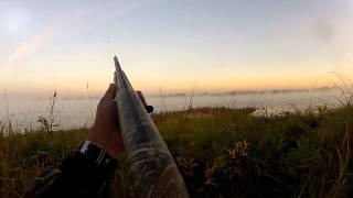 duck and goose hunting with GoPro and winchester sx3 [upl. by Kcirret]