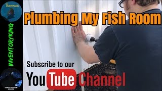 Plumbing My African Cichlid Fish Room  DIY Drain And Water Lines [upl. by Enaillil290]