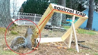 Squirrel trap easy homemade [upl. by Danieu146]