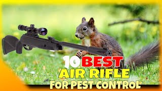 Top 10 Best Air Rifles for Pest Control [upl. by Nolrah615]