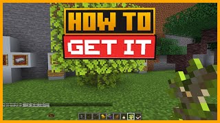 🟨 HOW to FIND the ELDER TREE in the BEWITCHMENT MOD in MINECRAFT [upl. by Metzger]