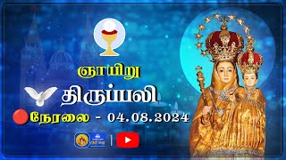 🔴 LIVE  Sunday Holy Mass in Tamil  04 August 2024  Annai Vailankanni Shrine  Besant Nagar Annai [upl. by Bilat994]