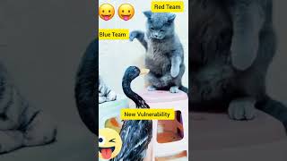 Red Team Vs Blue Team Vs New Vulnerability itsecurity cybersecurity shorts cat funny [upl. by Brownson703]