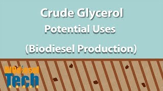 Potential Uses of Crude Glycerol from Biodiesel Production [upl. by Aniger]