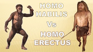 Homo Habilis vs Homo Erectus An Evolutionary Journey Through Anatomy and Physiology [upl. by Salkcin158]