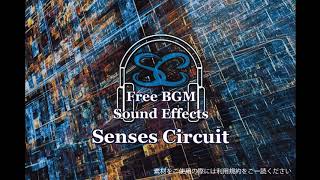 【フリー効果音】拍手と歓声パチパチ・ワーワー・ピーピー by hitoshi  Free BGMampSE Senses Circuit Official YouTube Channel [upl. by Jehius]