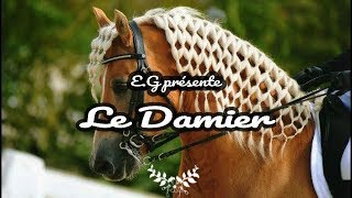 🎀 Coiffure crinière cheval  le damier 🎀 [upl. by Kcirdnek826]