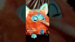 Furby Ferbi mieć wyrafinowane podniebienie shorts [upl. by Rogozen]