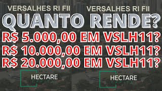 QUANTO RENDE NO VSLH [upl. by Sadowski856]