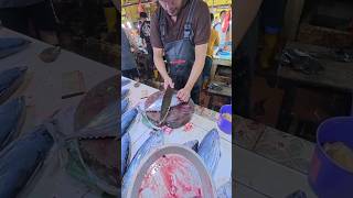 Fisher King Slice Yellowfin Tuna shorts fishcutting yellowfintuna [upl. by Giess]