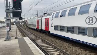 Treinen op Station Mechelen 2024 [upl. by Norrad552]