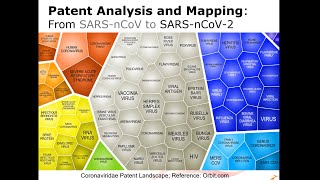 COVID19 Patent Landscape amp Mapping [upl. by Bennet241]