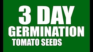 Tomato Seeds 3 Day Germination GrowLikeAPro [upl. by Ajssatan888]