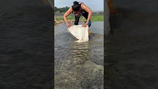 Greatest Fishing Skills fish youtubshorts youtubeshorts [upl. by Nuahc]