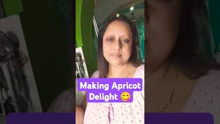 Making Apricot Delight  Cooking vlog 03 💞🍮 cooking baking recipe dessert [upl. by Rentsch]