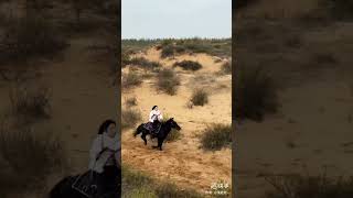 horse Freedom lover ♥️ Girl horse riding [upl. by Valentina]