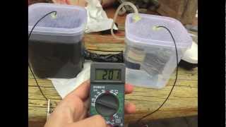 DIY Microbial Fuel Cell easy [upl. by Beckett]