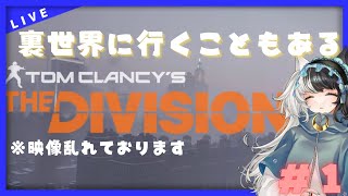 【Tom Clancys The Division】地域の平穏を保つため！！【MIRUMA】 [upl. by Hillegass437]