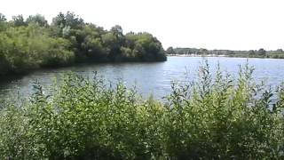 SPINNAKER LAKE BLASHFORD HAMPSHIRE [upl. by Bolten]