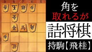 これがなんと詰みます【詰将棋】 [upl. by Nivak]