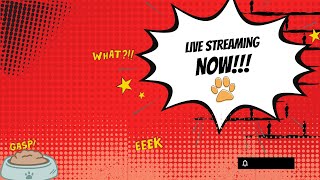 【🔴LIVE 】 yaaaa sudahlahh  ASC2 rr88 [upl. by Fausta]