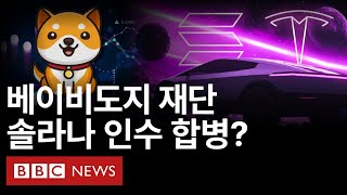 베이비도지 재단 솔라나 인수합병 베이비도지 베이비도지전망 도지코인 트럼프밈코인 일론머스크밈코인 [upl. by Nnaeirb57]