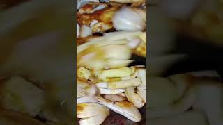 Mushroom recipes indian recipe tasty yummy mushroom masala sabji youtube cooking [upl. by Kristien]