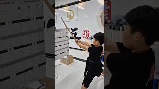 Korean Sword Martial Artists Cut Paper With Perfect Precision Using a Wooden Sword [upl. by Bouchier]