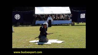 Sekiguchi Ryu Iai  Demonstration Meiji Jingu 2010  Iaijutsu  Battodo [upl. by Sydney]