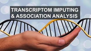 Imputing transcriptome for gene association analyses  Costin Leu [upl. by Charin287]