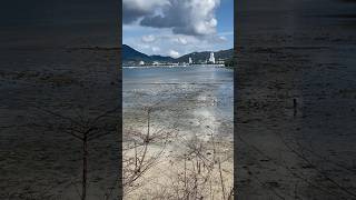 Low Tide Beach  A Magical Water Encounter [upl. by Hermosa370]