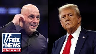 Joe Rogan advises Trump after 2024 victory Let them all talk their s [upl. by Benedicto671]